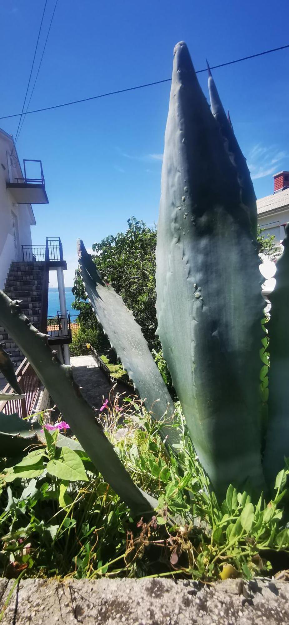 Apartment Eden Crikvenica Εξωτερικό φωτογραφία