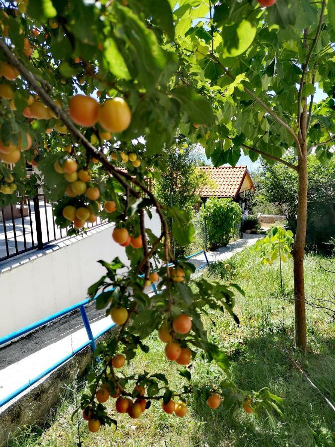 Apartment Eden Crikvenica Εξωτερικό φωτογραφία