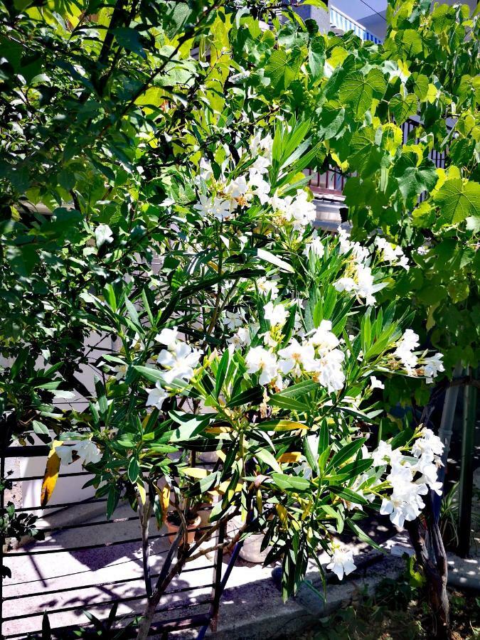 Apartment Eden Crikvenica Εξωτερικό φωτογραφία